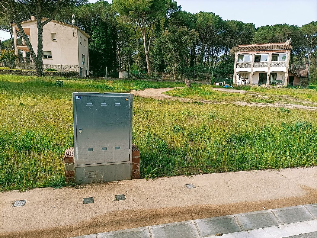 Parcel.la planera a La Canyera