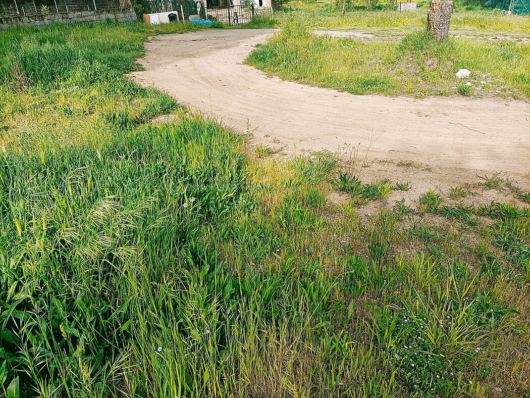 Parcel.la planera a La Canyera