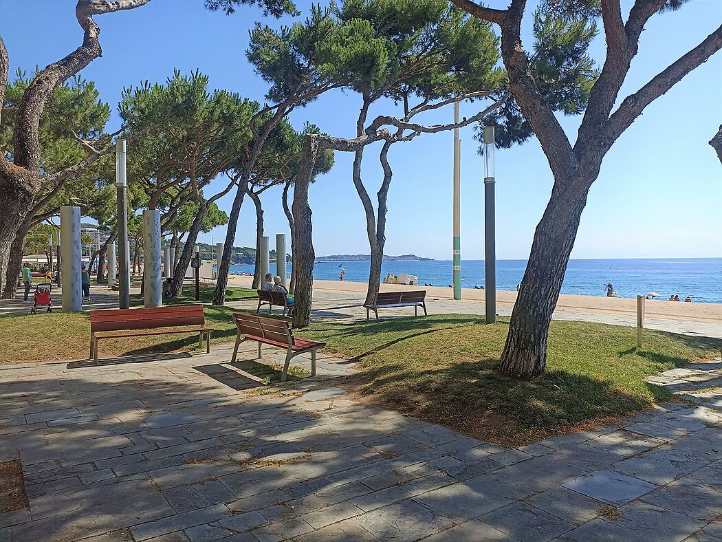 A primera línia de mar, Platja D Aro.