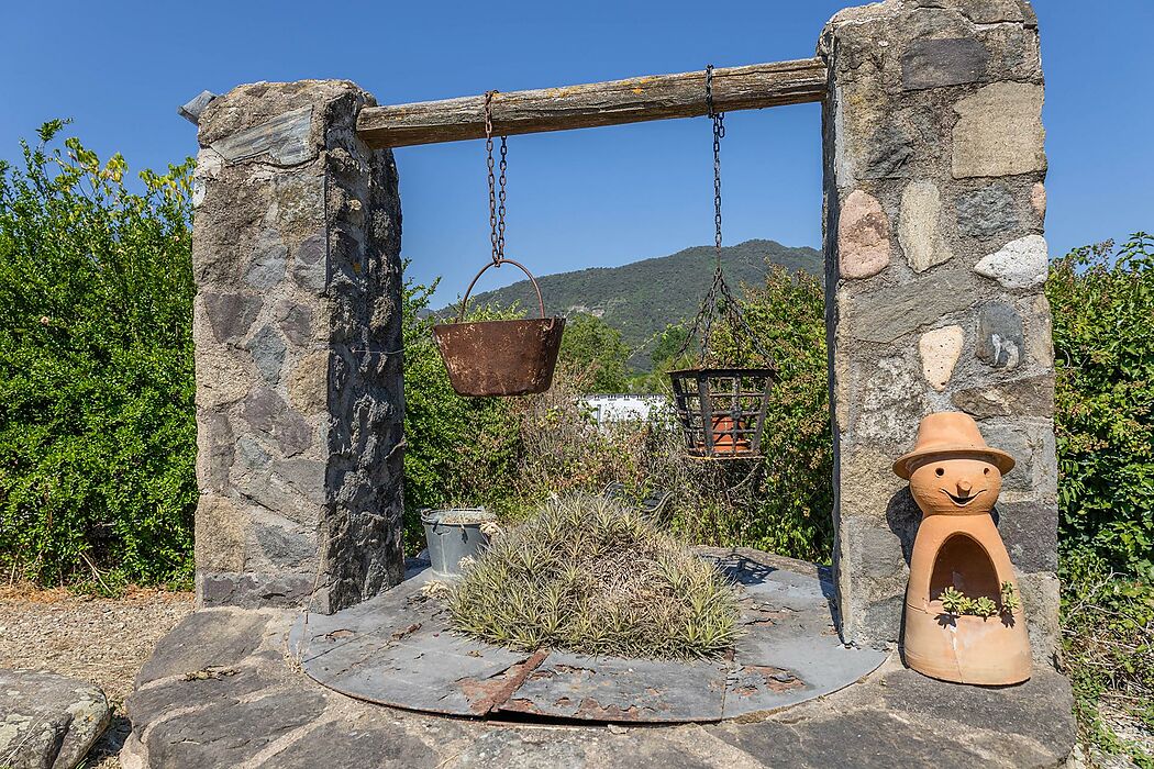 VOUS VOULEZ VENIR VIVRE DANS LA NATURE ET DANS UNE FERME AVEC UN GRAND JARDIN ? VENEZ ME VOIR, JE VAIS VOUS SURPRENDRE...
