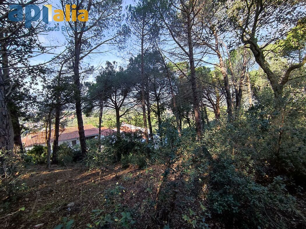 PLOT IN ROCA GROSSA WITH SIDE SEA VIEWS