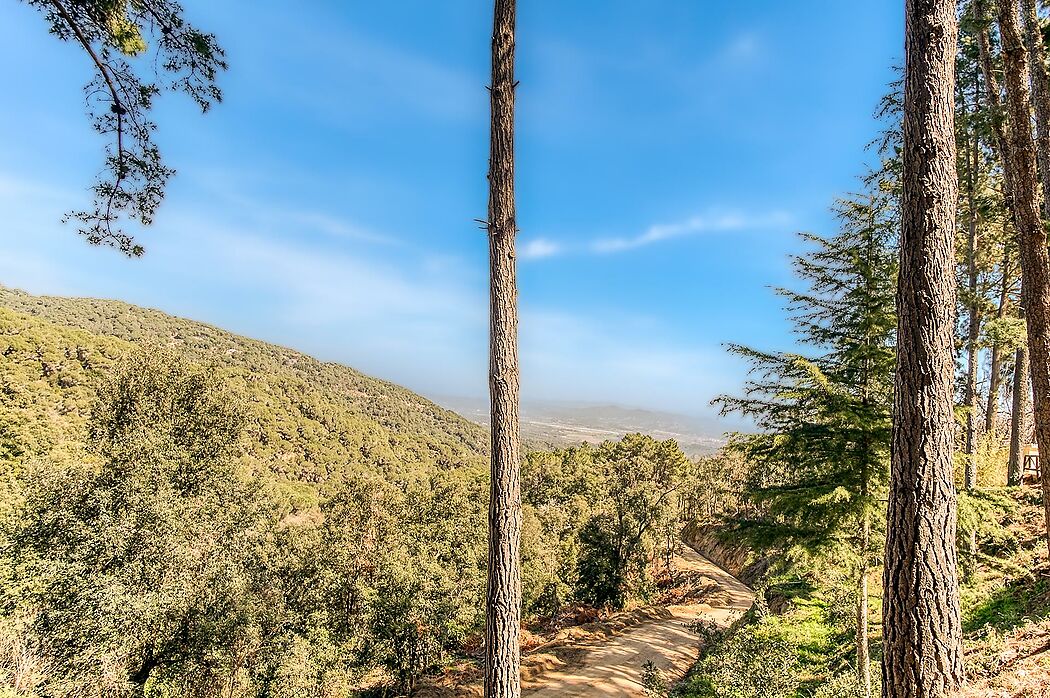 Espectacular Masia al Montnegre