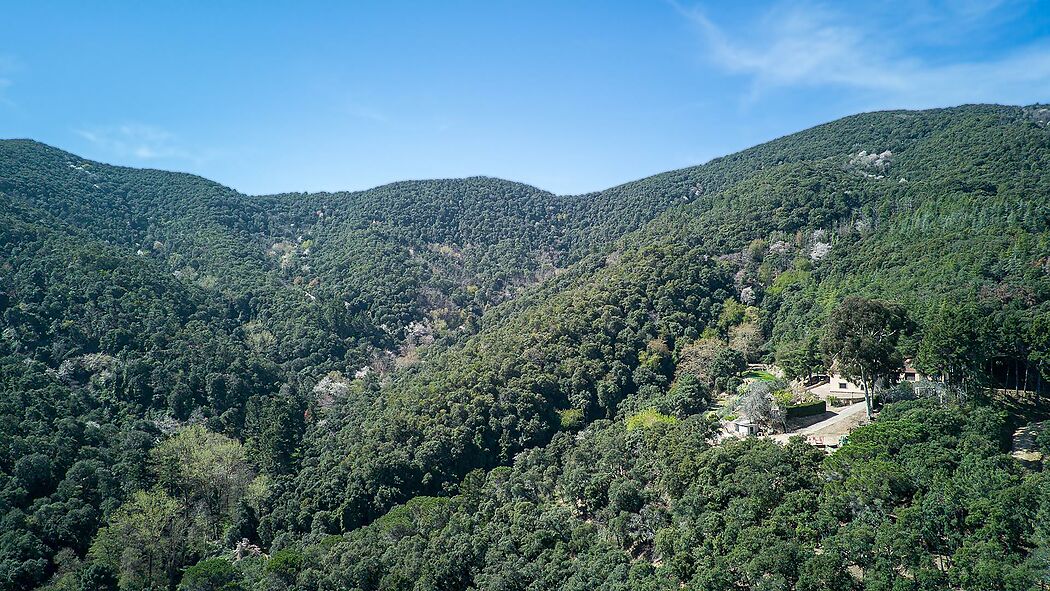 Espectacular Masia al Montnegre