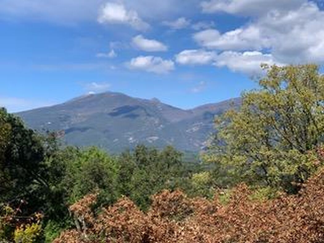 SOLAR EN LA URBANIZACION  BOSCOS MONTNEGRE