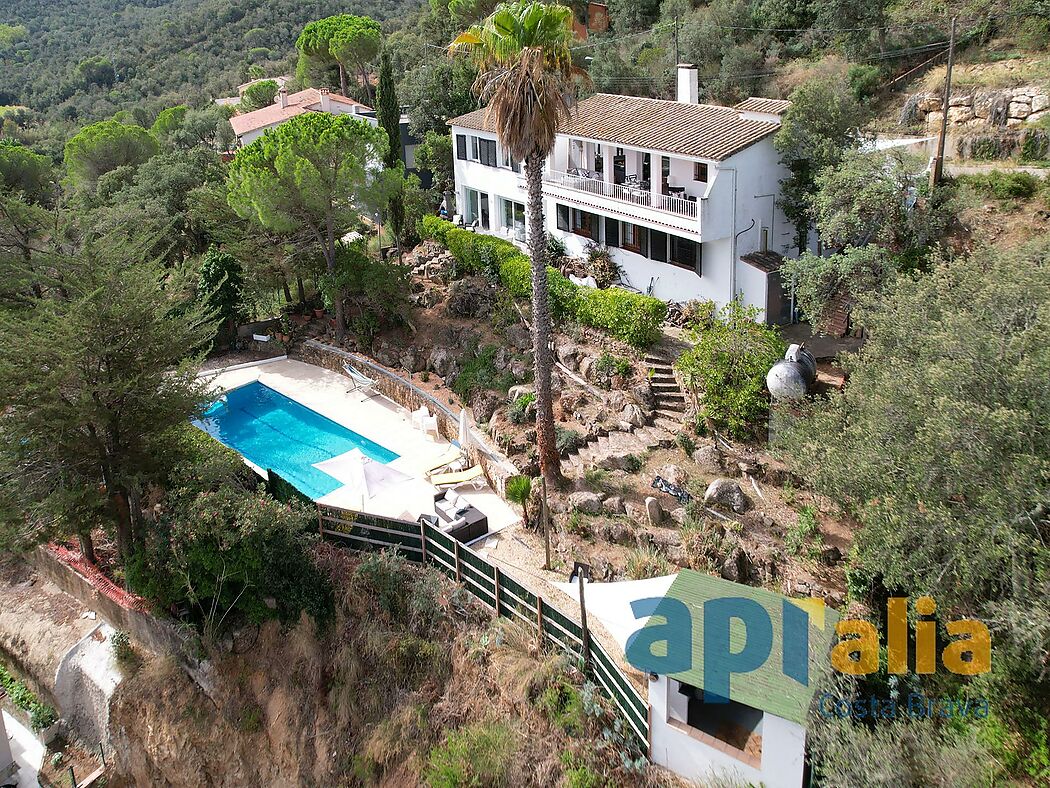 5 bedroom house with pool and independent apartment