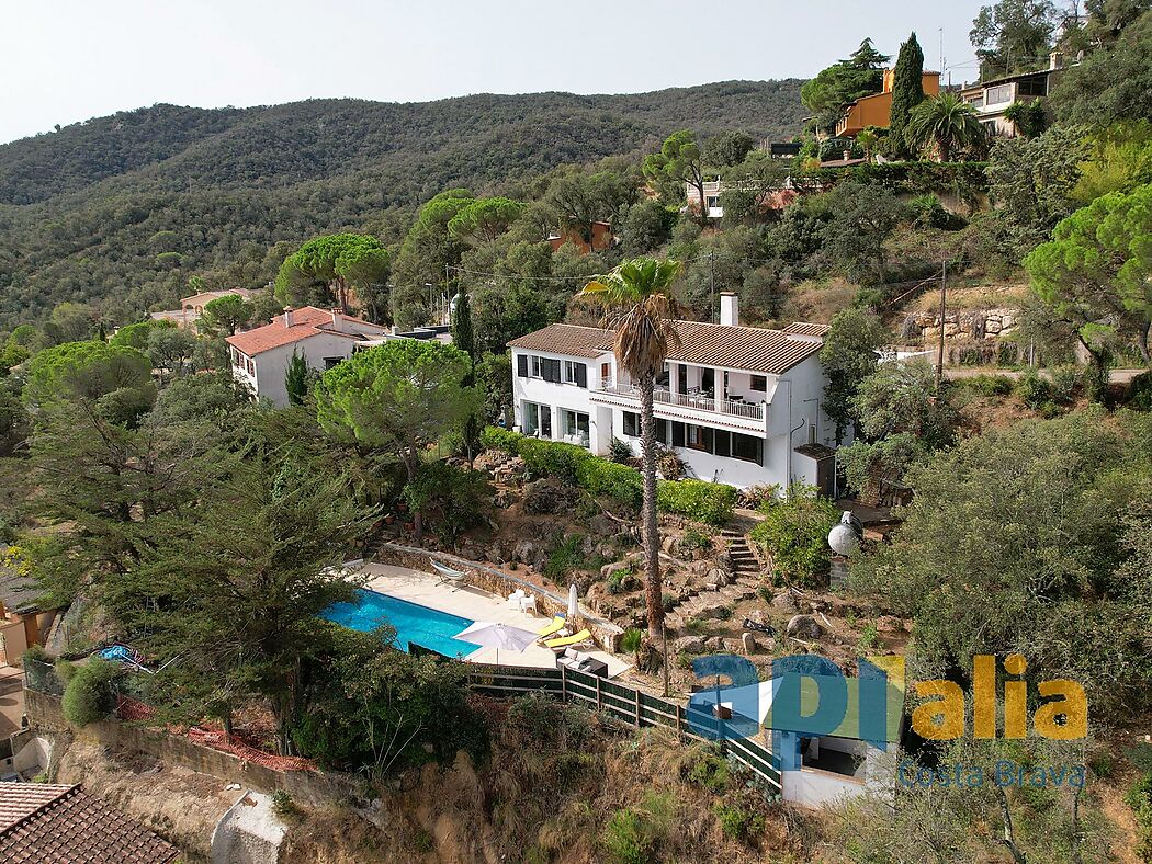 5 bedroom house with pool and independent apartment