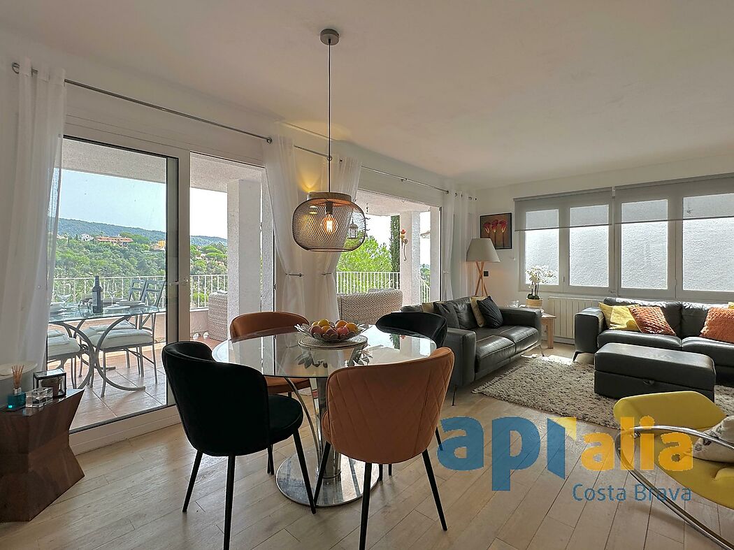 5 bedroom house with pool and independent apartment