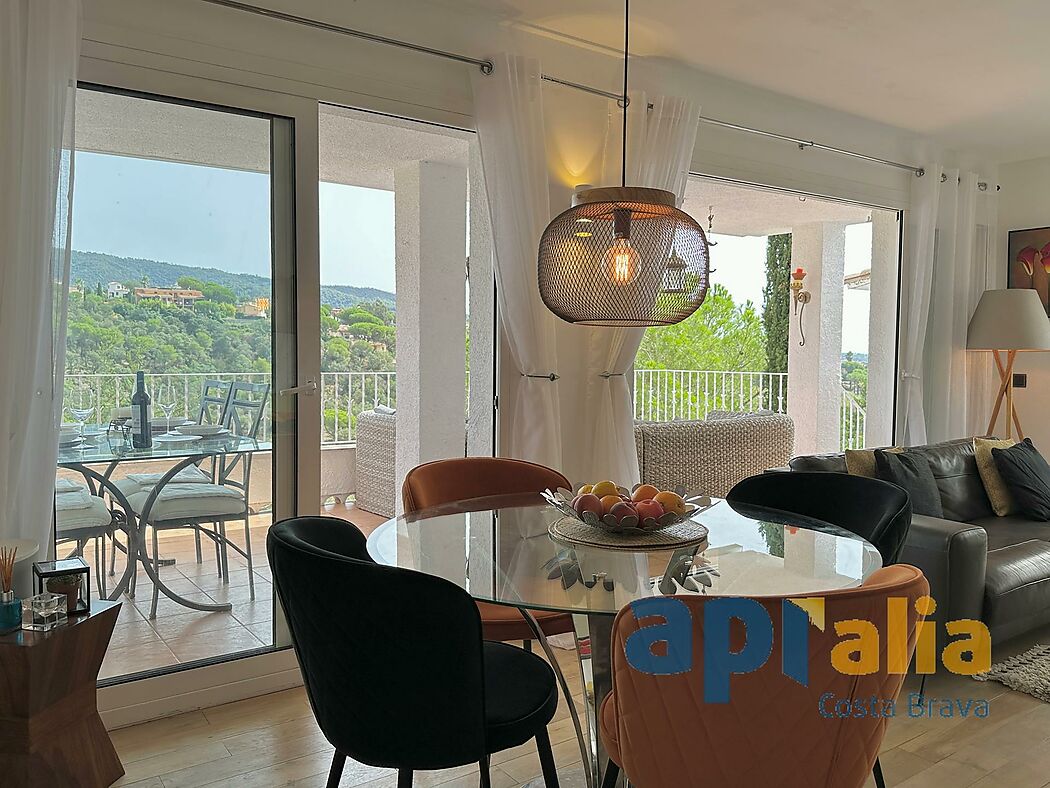 5 bedroom house with pool and independent apartment