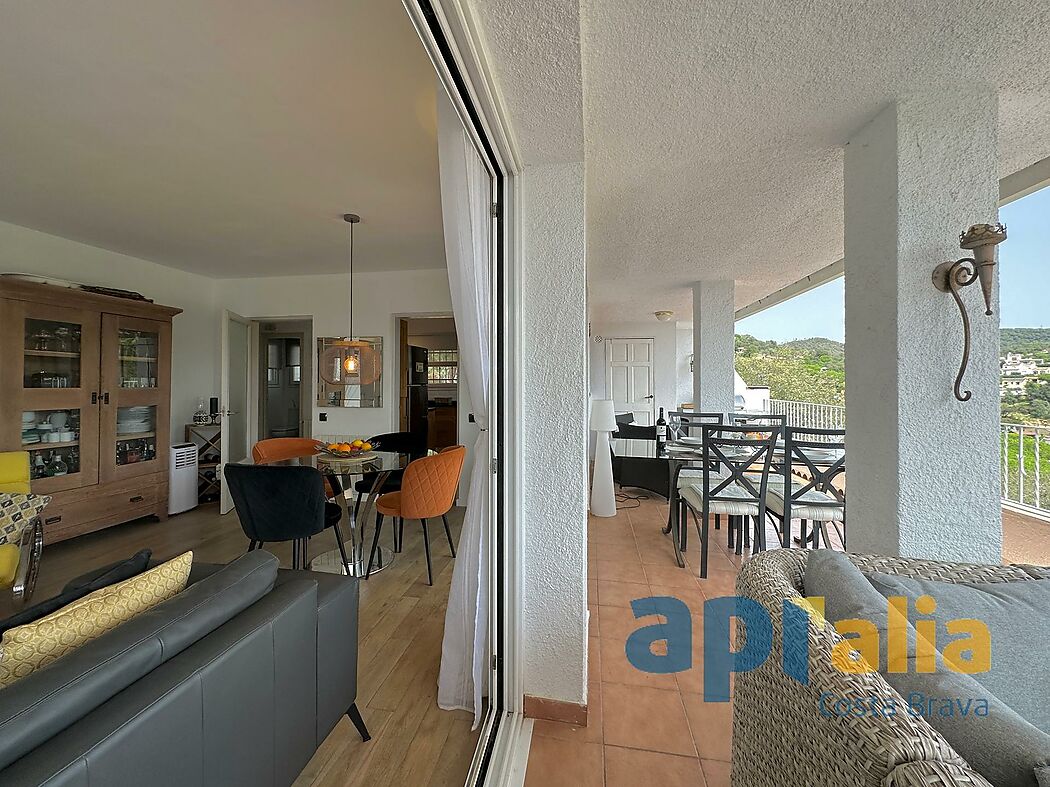 5 bedroom house with pool and independent apartment