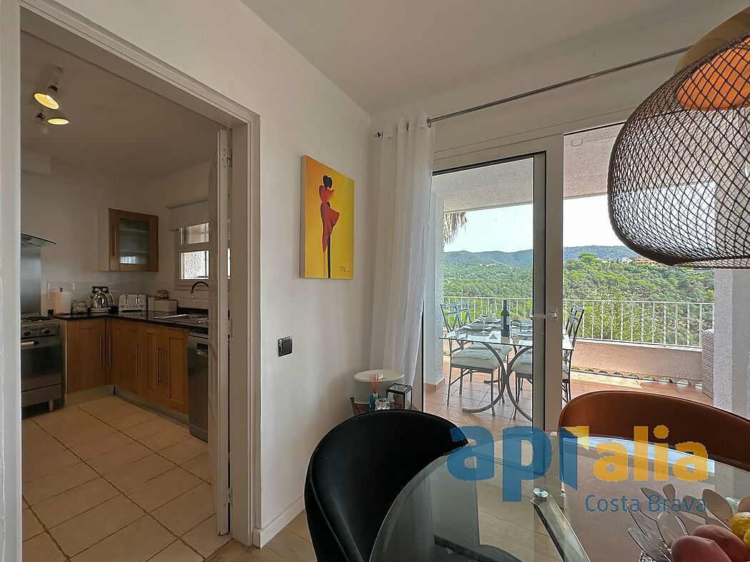 5 bedroom house with pool and independent apartment