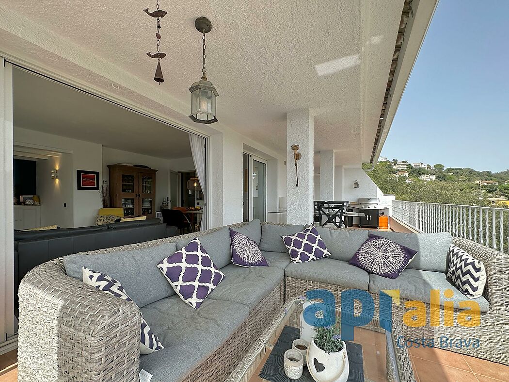 5 bedroom house with pool and independent apartment
