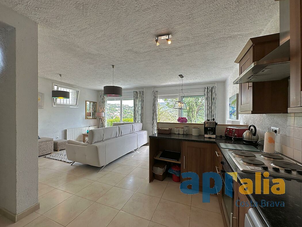 5 bedroom house with pool and independent apartment