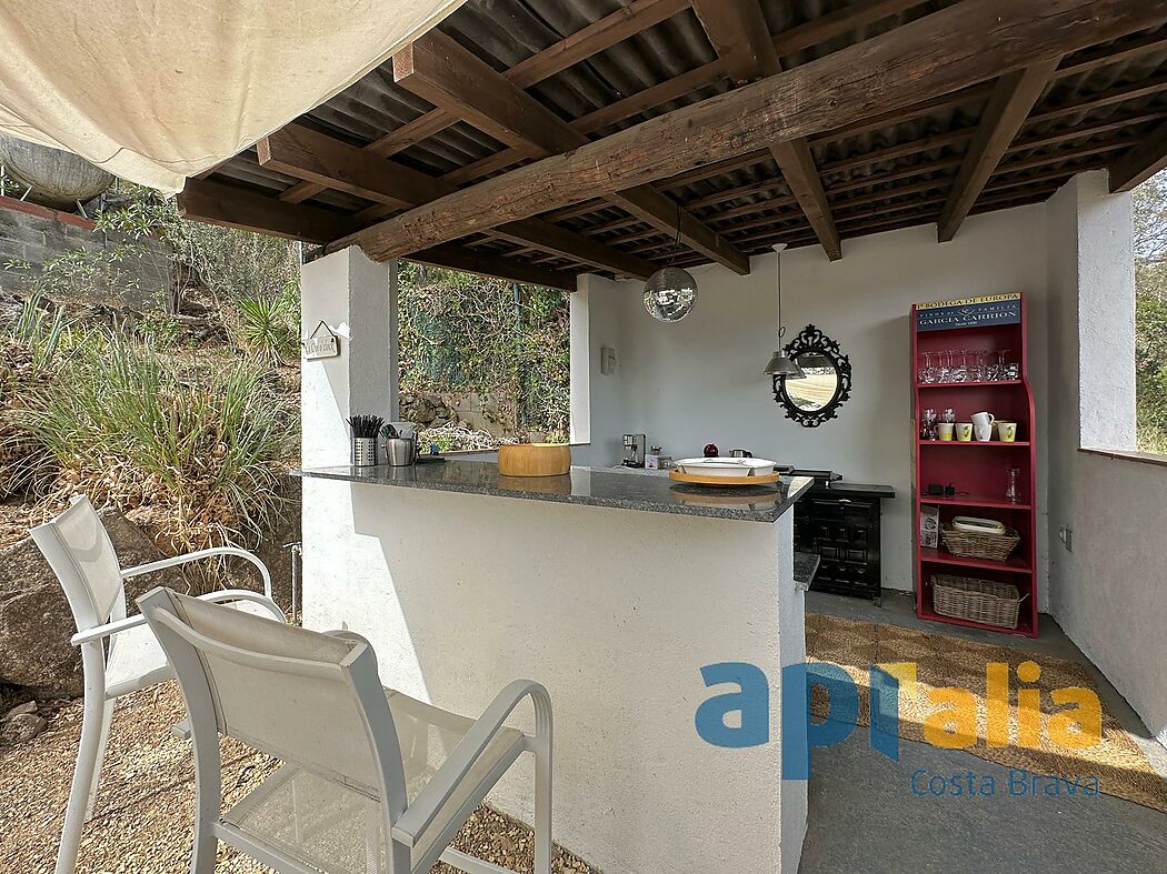 5 bedroom house with pool and independent apartment
