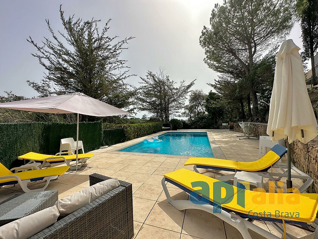 5 bedroom house with pool and independent apartment