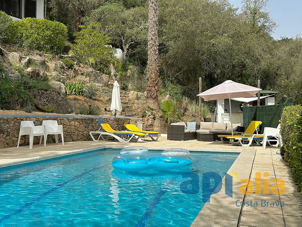 5 bedroom house with pool and independent apartment