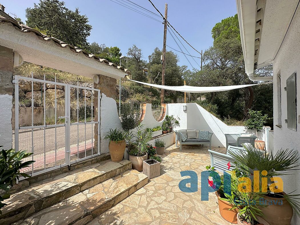 5 bedroom house with pool and independent apartment