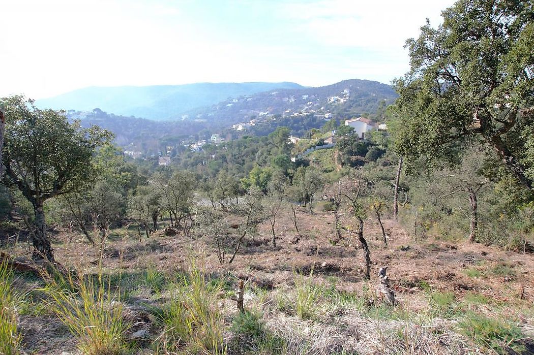 Parcel·la amb moltes possibilitats, àmplia superfície. Ideal per construir casa a diversos nivells amb àmplies terrasses i vistes a les Gavarres.