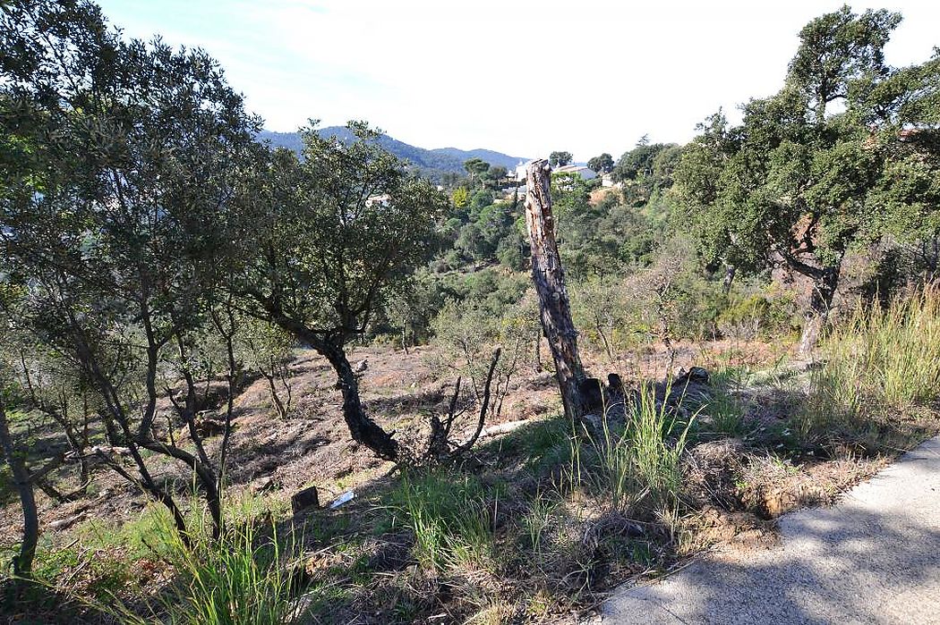 Plot with many possibilities, large area. Ideal to build multi-level house with large terraces and views of the Gavarres.