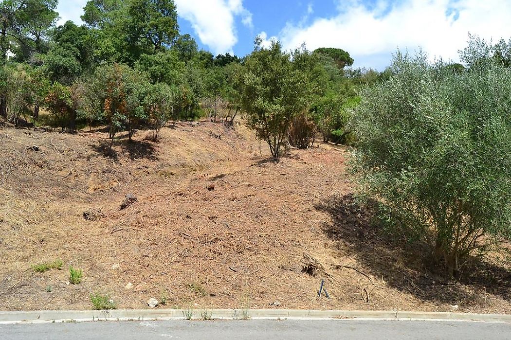 Àmplia parcel·la amb orientació sud