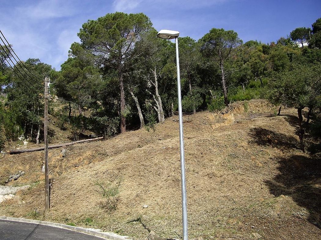 Àmplia parcel·la amb orientació sud