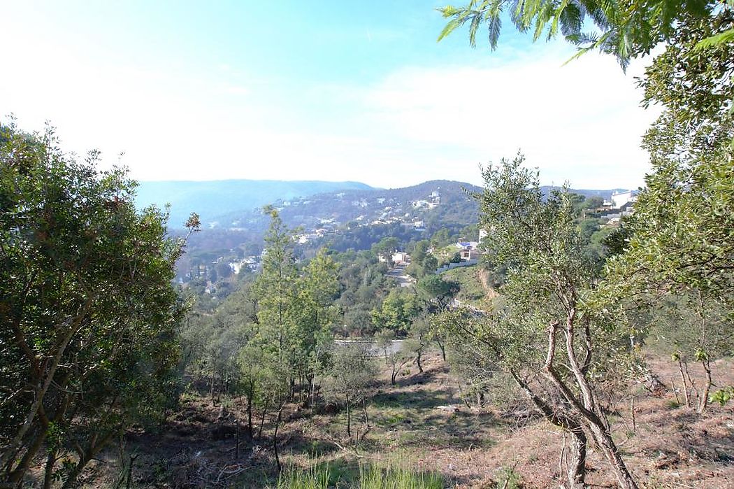 Preciosa parcela en zona alta y tranquila de la urbanización.