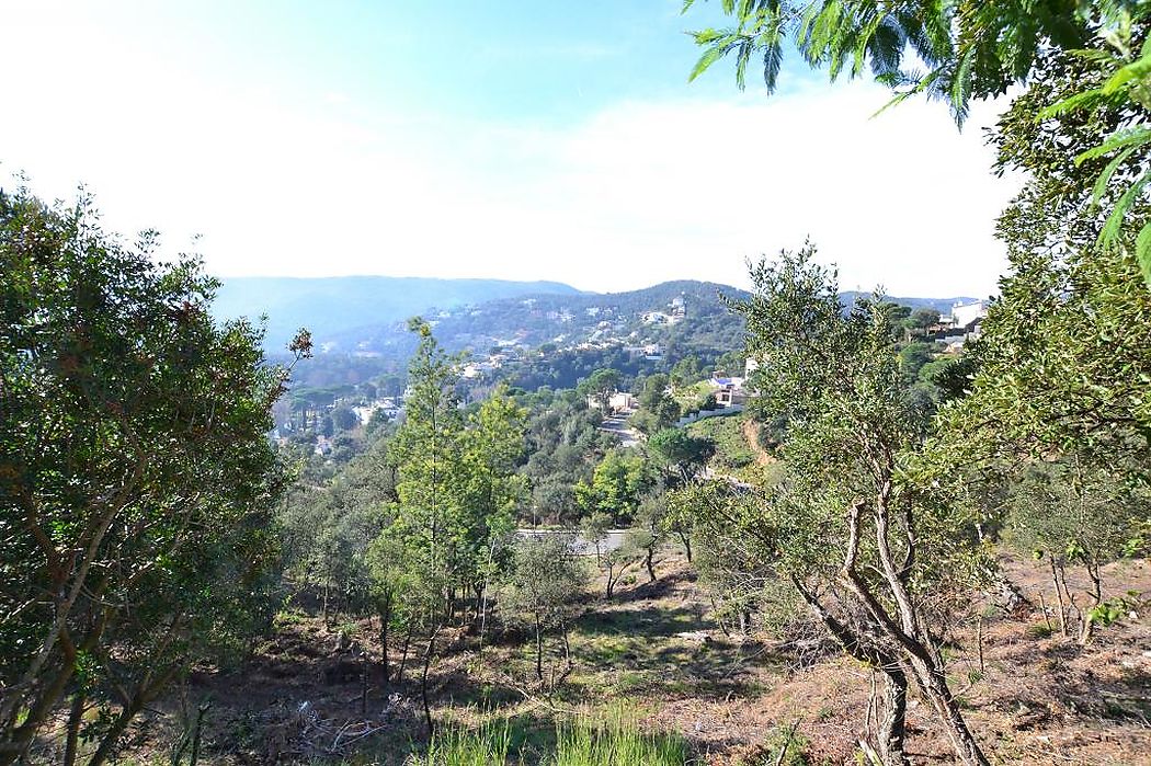 Preciosa parcela en zona alta y tranquila de la urbanización.