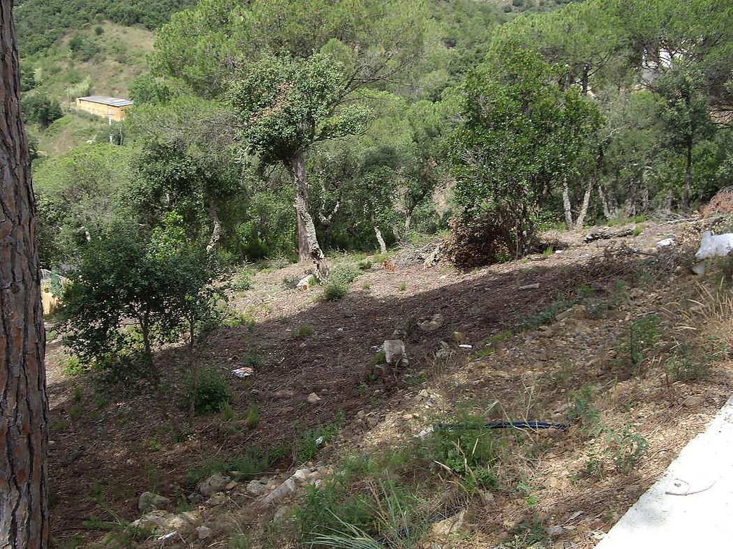 Terrain avec vue sur la montagne