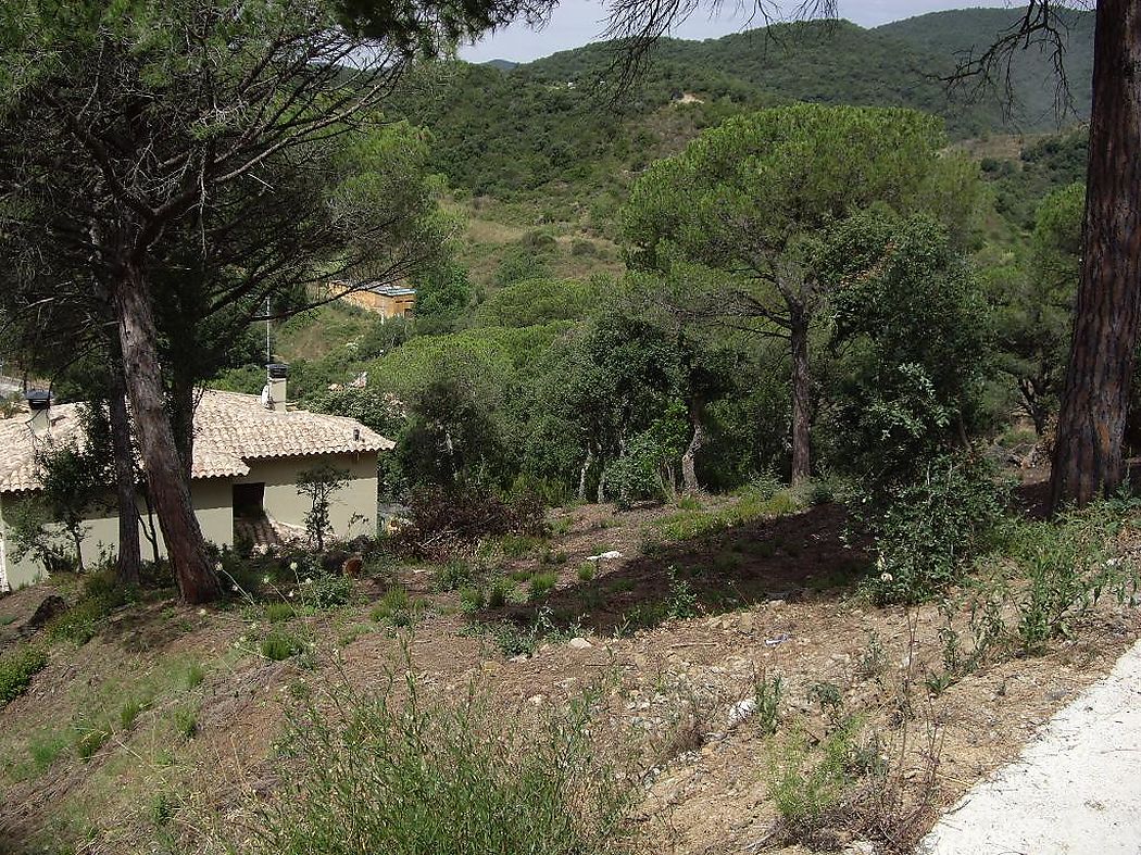 Terrain avec vue sur la montagne