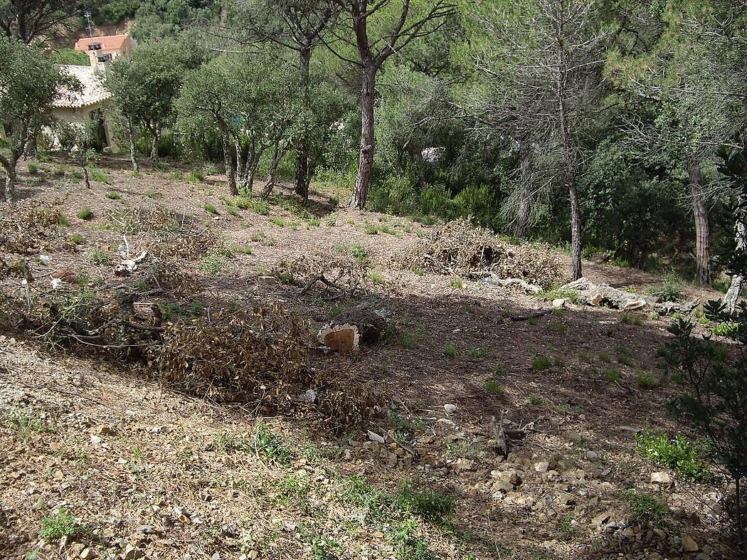 Plot with Mountain Views