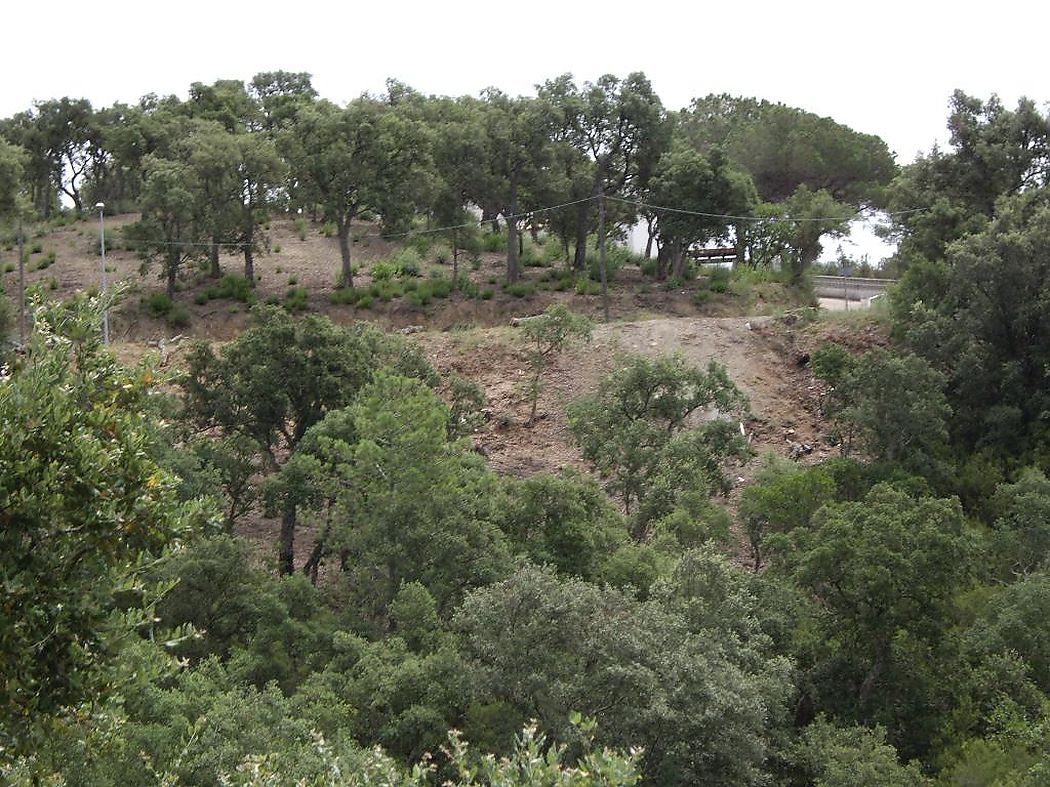 Terrain dans un quartier très calme