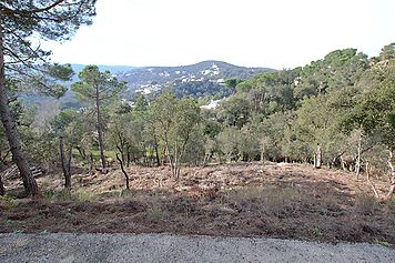 Parcela con fantásticas vistas a la montaña