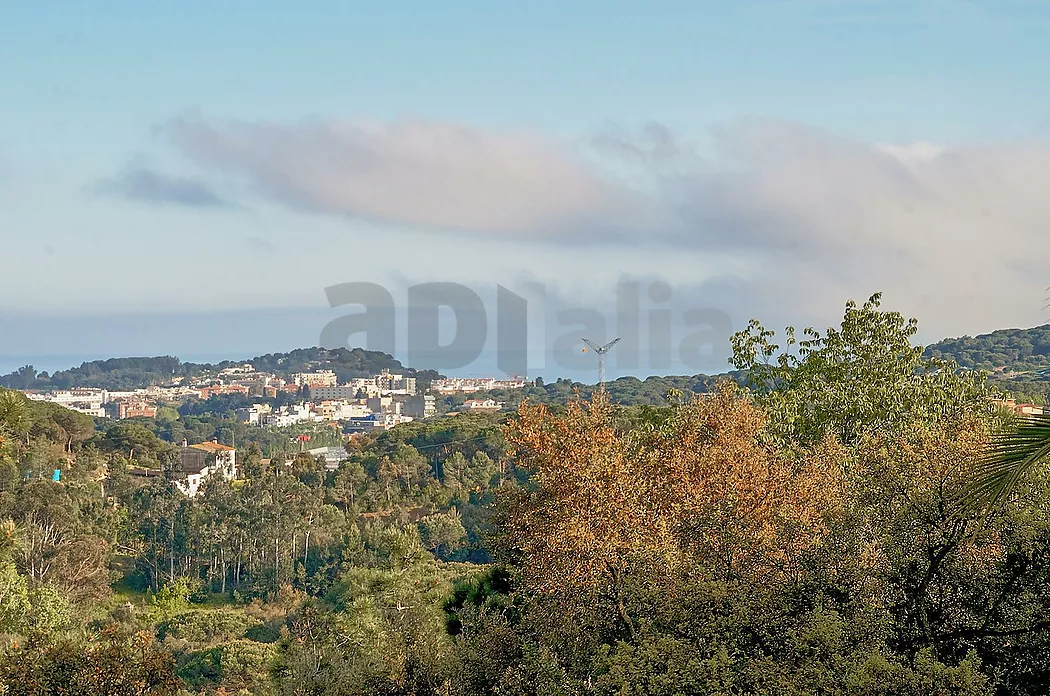 Vila amb gran potencial, 2.000 m  de parcel·la i espais sense límits a Los Pinares