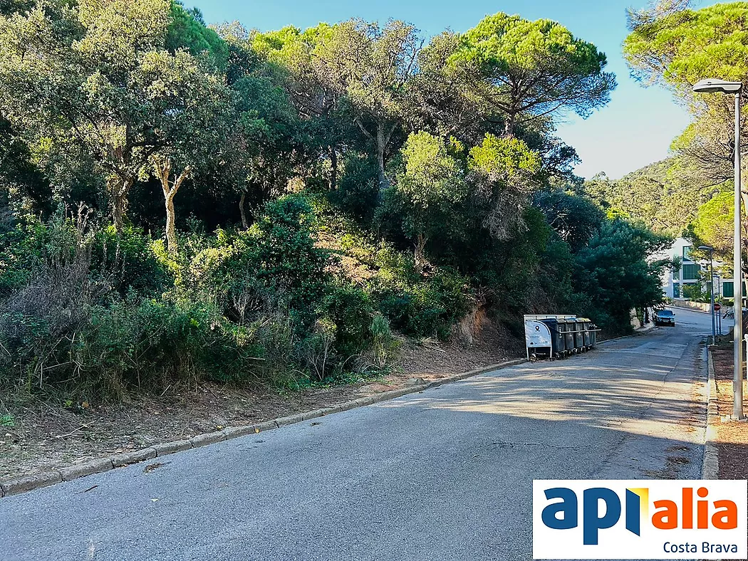 PLOT FOR SALE IN ROSAMAR URBANIZATION - SANTA CRISTINA D'ARO (COSTA BRAVA)