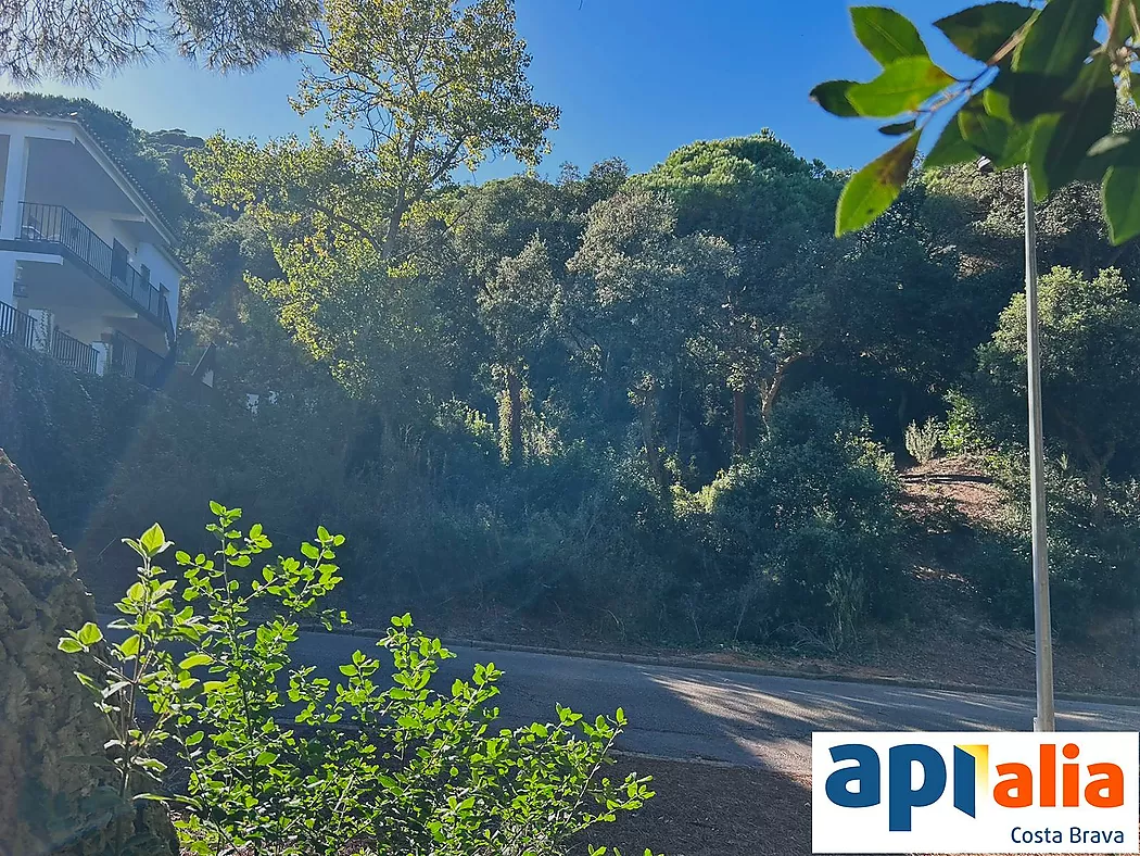 PLOT FOR SALE IN ROSAMAR URBANIZATION - SANTA CRISTINA D'ARO (COSTA BRAVA)