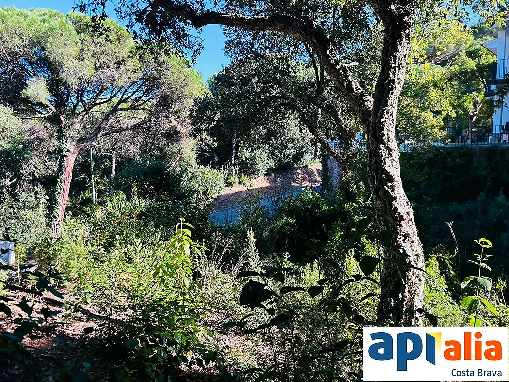 PLOT FOR SALE IN ROSAMAR URBANIZATION - SANTA CRISTINA D'ARO (COSTA BRAVA)