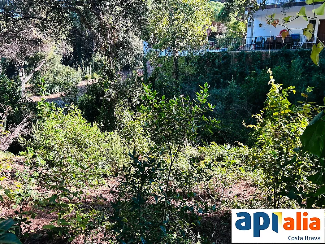 PLOT FOR SALE IN ROSAMAR URBANIZATION - SANTA CRISTINA D'ARO (COSTA BRAVA)