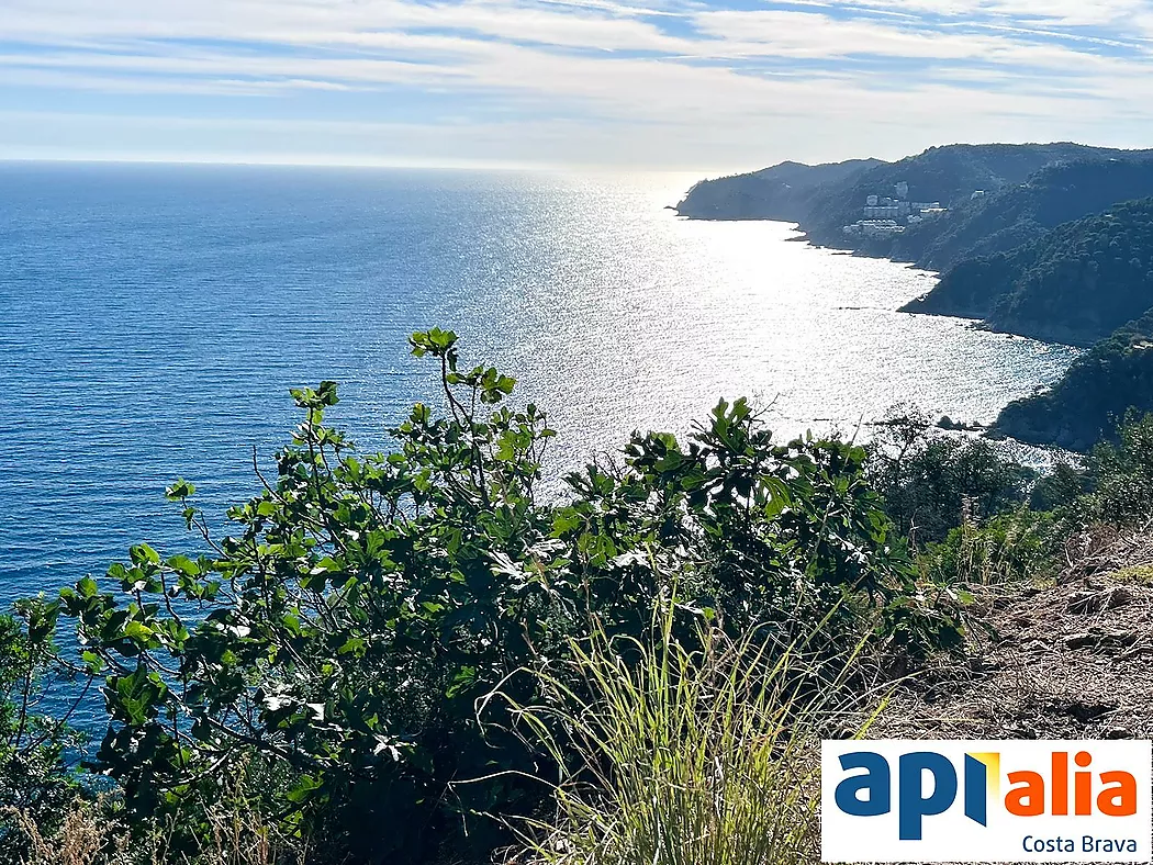 PLOT FOR SALE IN ROSAMAR URBANIZATION - SANTA CRISTINA D'ARO (COSTA BRAVA)