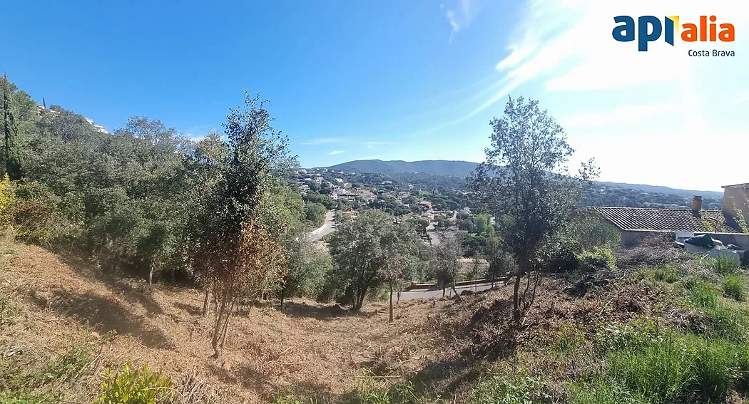 Belle parcelle avec vue sur la mer.