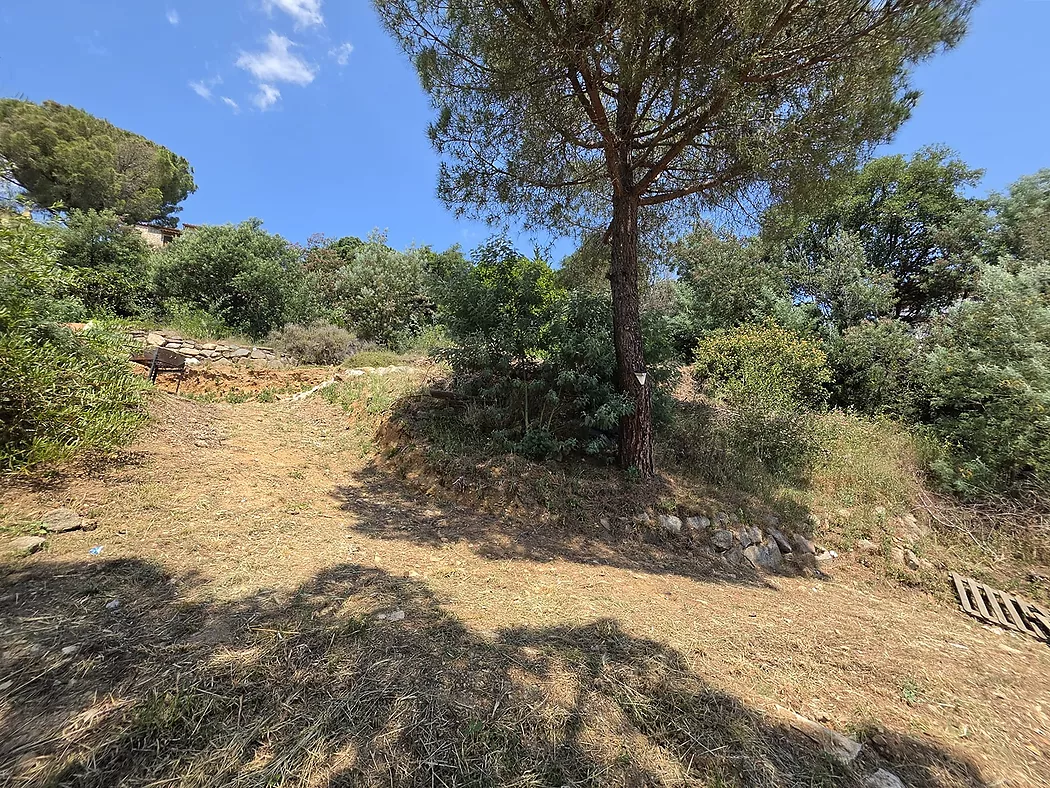 Terrain urbain de 852 m  à Mas Ambrós (Calonge) avec vue panoramique sur la mer.