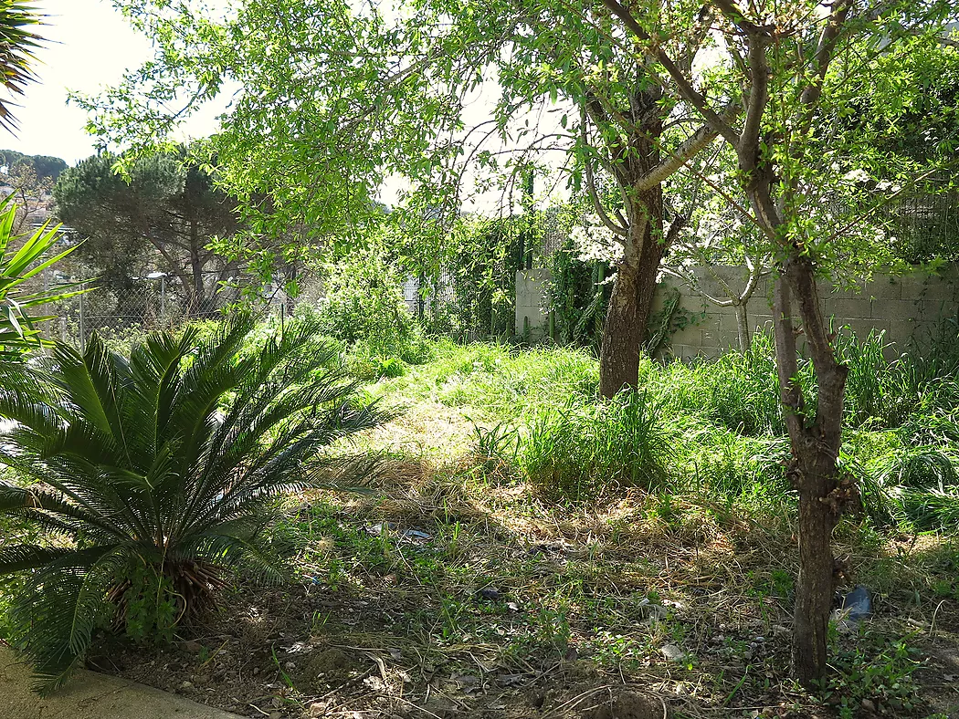 **Casa Unifamiliar en Entorn Natural - Ideal per als Amants de la Natura**