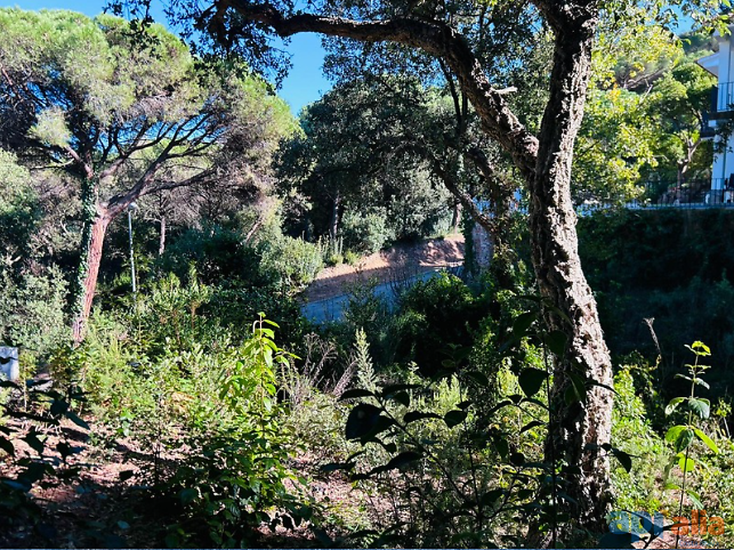 PLOT FOR SALE IN ROSAMAR URBANIZATION - SANTA CRISTINA D'ARO (COSTA BRAVA)
