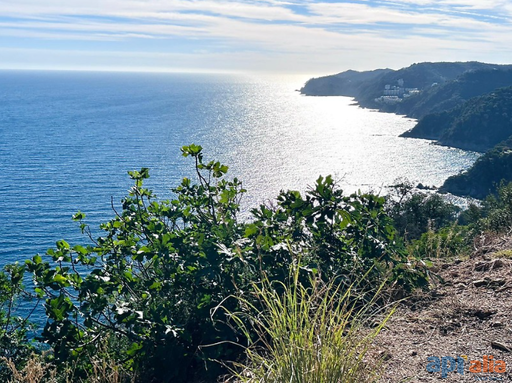 PLOT FOR SALE IN ROSAMAR URBANIZATION - SANTA CRISTINA D'ARO (COSTA BRAVA)