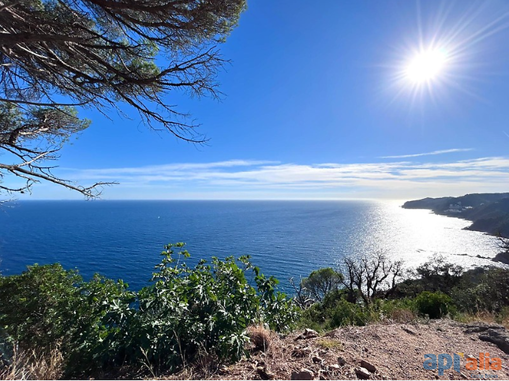 PLOT FOR SALE IN ROSAMAR URBANIZATION - SANTA CRISTINA D'ARO (COSTA BRAVA)