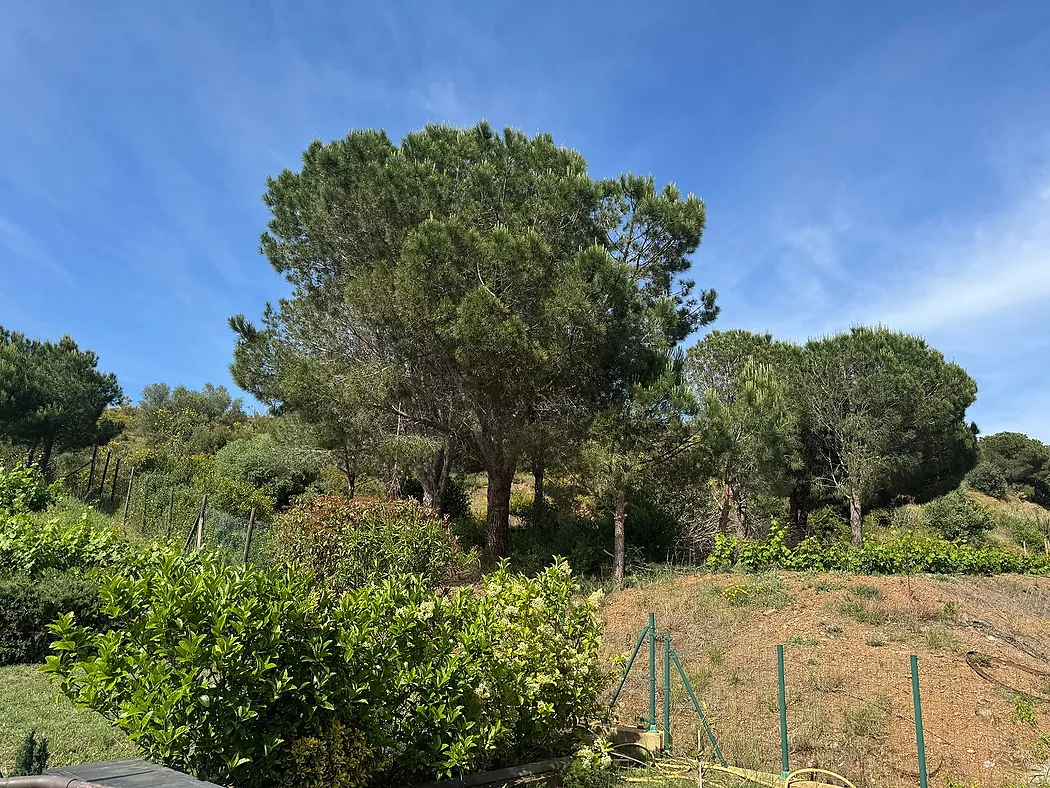 EXCLUSIVA CASA EN UNA IDÍL·LICA URBANITZACIÓ DE L ALT EMPORDÀ