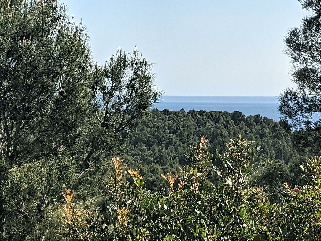 Parcelles uniques et exclusives en première ligne avec des vues spectaculaires sur la mer à LLançà.